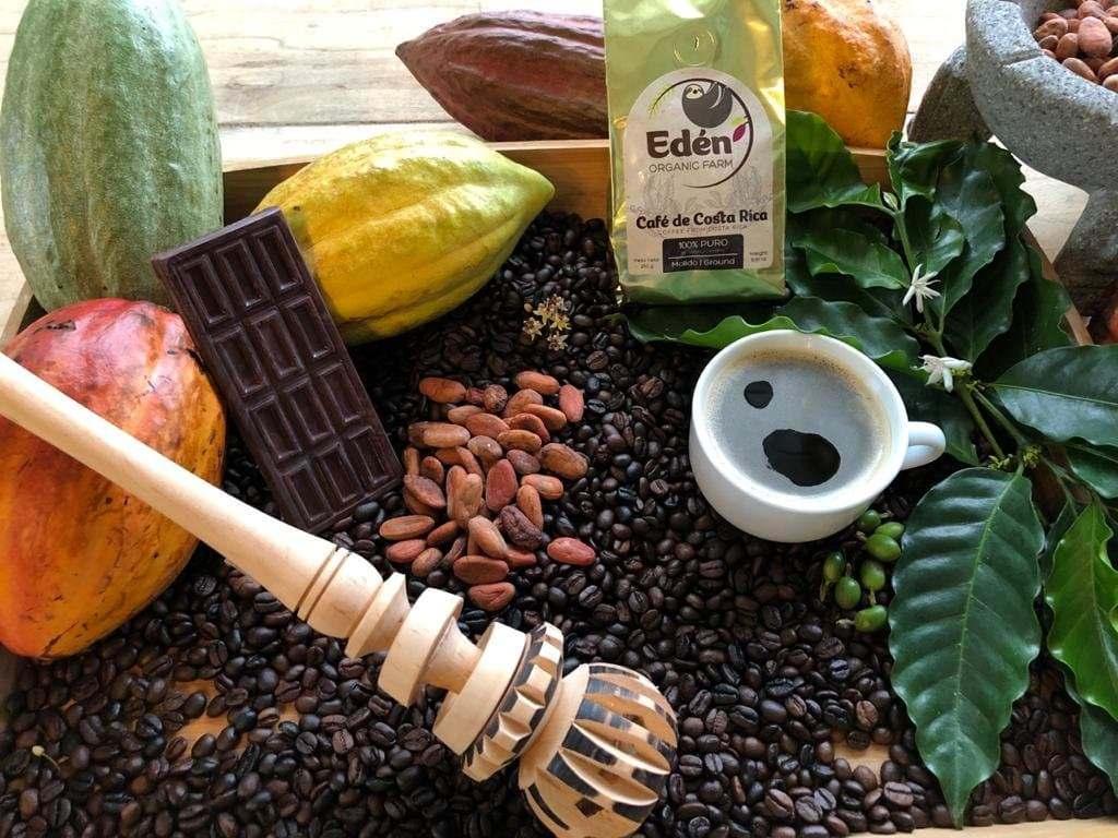 Foto de fondo principal